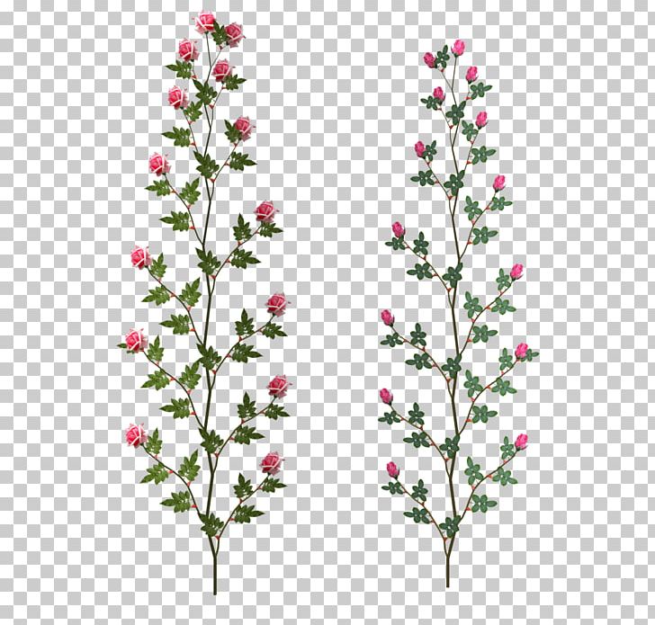 Cut Flowers Floral Design Petal PNG, Clipart, 2018, Branch, Cim, Collage, Comment Free PNG Download