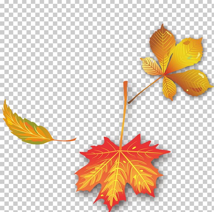 Maple Leaf Autumn PNG, Clipart, Autumn, Autumn Leaves, Autumn Tree, Computer Wallpaper, Deciduous Free PNG Download