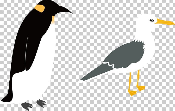 Penguin Bird PNG, Clipart, Animals, Arctic, Beak, Bird Cage, Birds Free PNG Download