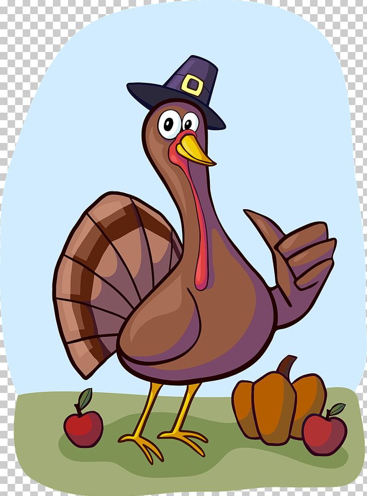 Turkey Meat Thanksgiving PNG, Clipart, Beak, Bird, Chicken, Drawing, Ducks Geese And Swans Free PNG Download