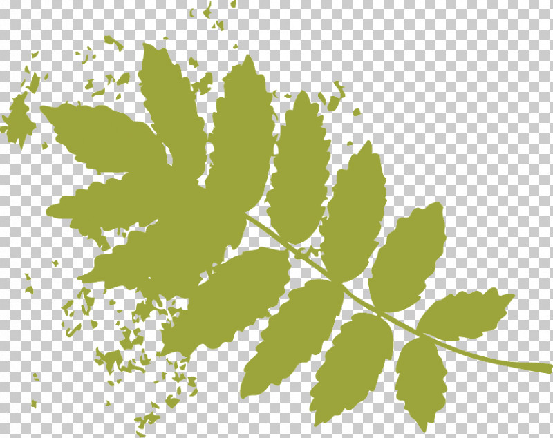 Plant Stem Leaf Flower Green Font PNG, Clipart, Biology, Computer, Flower, Green, Leaf Free PNG Download