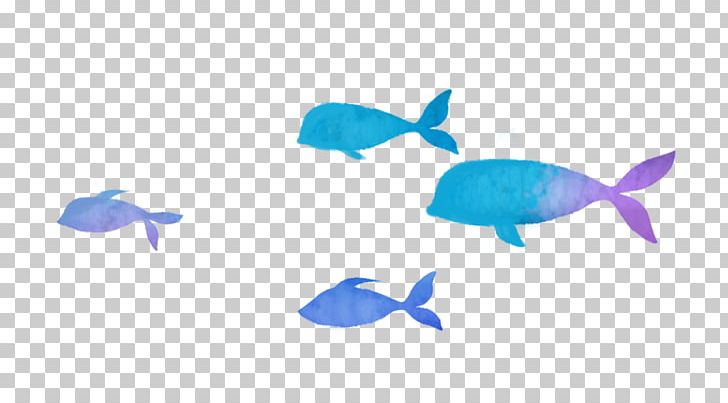Fish PNG, Clipart, Animals, Aqua, Azure, Blue, Color Free PNG Download