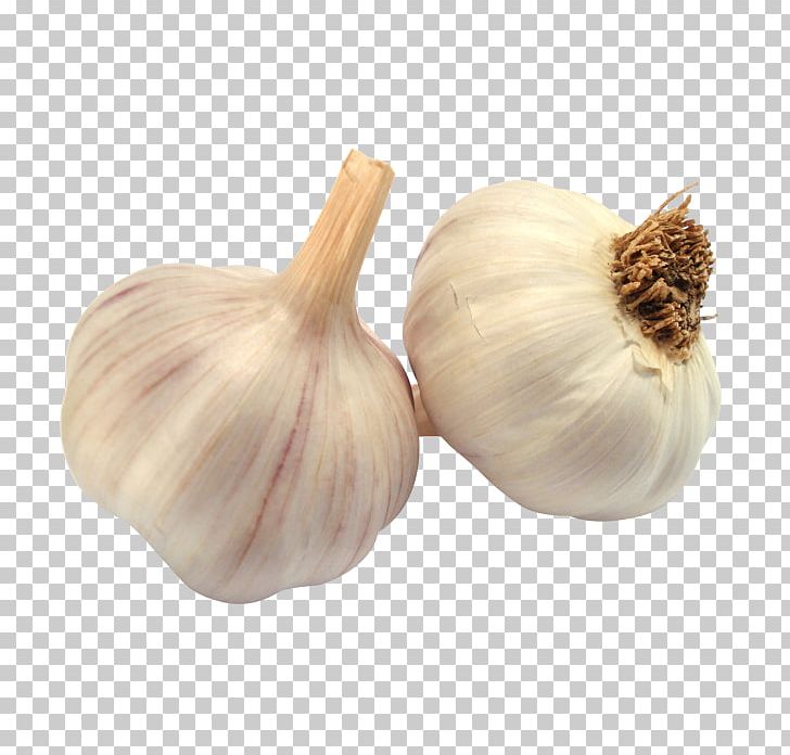 Garlic Ratatouille Boiling Sauce Vegetable PNG, Clipart, Boiling, Cooking, Dish, Elephant Garlic, Food Free PNG Download