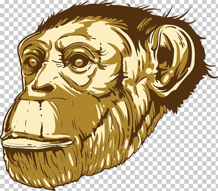 Gorilla Common Chimpanzee Ape Cartoon PNG, Clipart, Animal, Animal Illustration, Animals, Big Cats, Carnivoran Free PNG Download