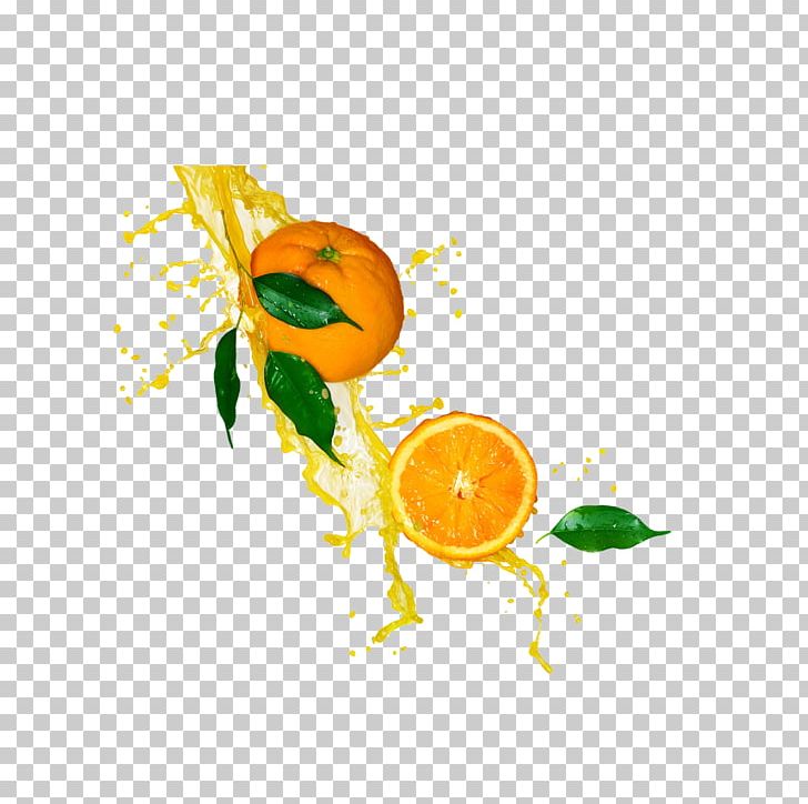 Orange Juice Lemonade Stock Photography PNG, Clipart, Citrus, Drink, Flowering Plant, Food, Fotosearch Free PNG Download