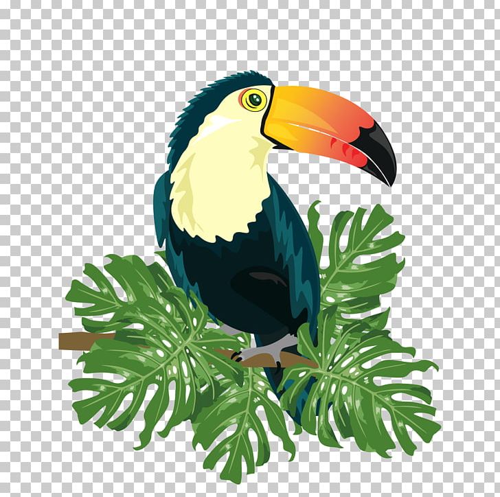 Ramphastinae Bird Ramphastos Illustration PNG, Clipart, Animal, Animals, Beak, Bird Cage, Birds Free PNG Download