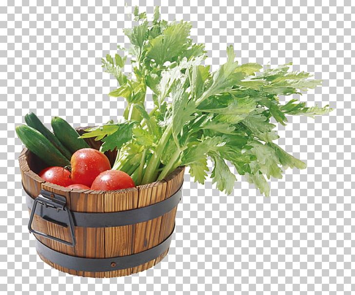 Vegetable Capsicum Annuum Organic Food Starch PNG, Clipart, Basket Of Apples, Baskets, Capsicum, Celery, Food Free PNG Download