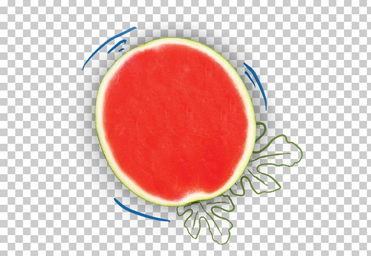 Watermelon Cantaloupe Abortion Clinic Nutrient PNG, Clipart, Abortion, Abortion Clinic, Antioxidant, Cantaloupe, Cantaloupe Melon Free PNG Download