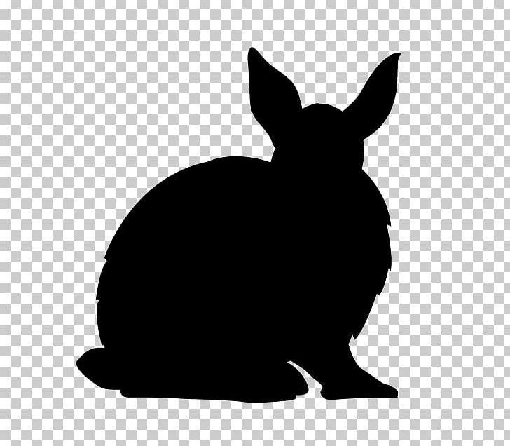 Cat Domestic Rabbit Kitten Gray Wolf PNG, Clipart, Animal Illustration, Animals, Black, Black And White, Black Cat Free PNG Download