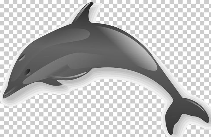 Common Bottlenose Dolphin Wholphin PNG, Clipart, Animal, Animals, Bottlenose Dolphin, Cetacea, Common Bottlenose Dolphin Free PNG Download