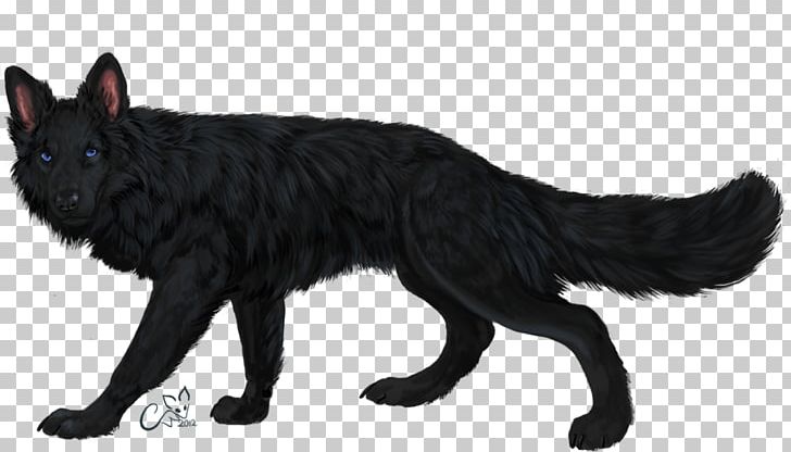 Dog Breed Border Collie German Shepherd Whiskers Rough Collie PNG, Clipart, Animal Figure, Animals, Black Cat, Border Collie, Breed Free PNG Download
