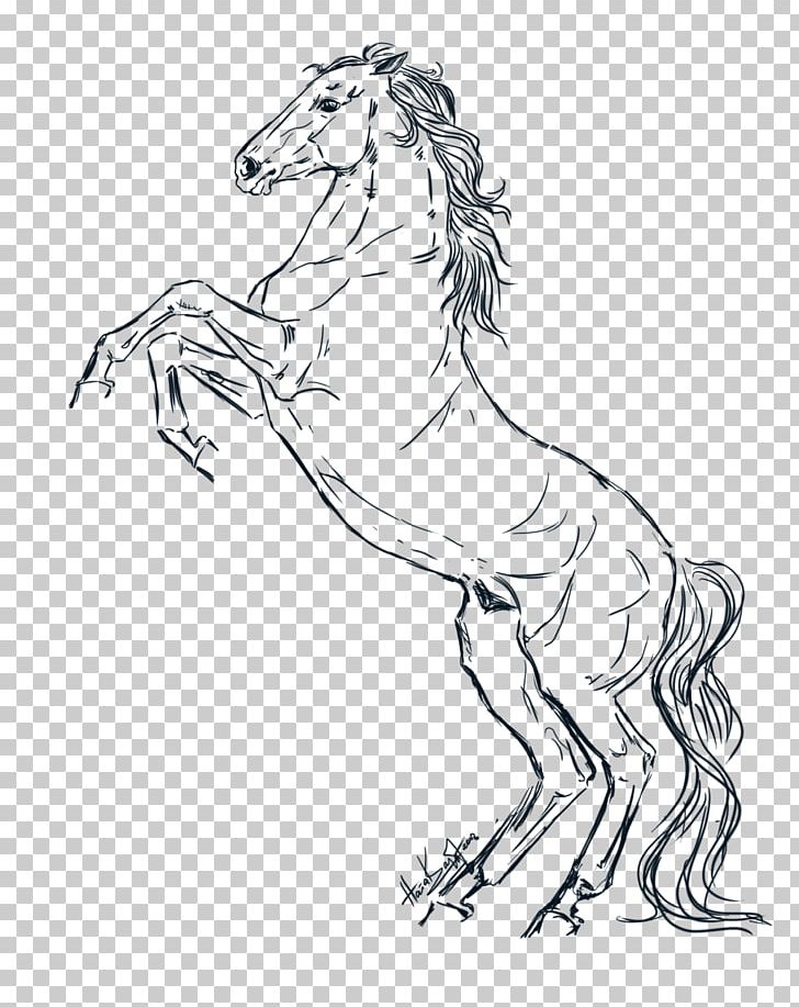 Line Art Mane Pony Mustang Stallion PNG, Clipart, Animal Figure, Arm, Art, Artwork, Black And White Free PNG Download