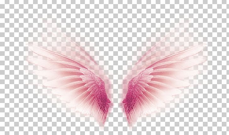 Wing PNG, Clipart, Christmas Decoration, Closeup, Computer Wallpaper, Decorative, Decorative Elements Free PNG Download