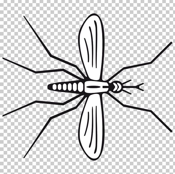 Mosquito Insect Pollinator Line Art PNG, Clipart, Aedes Albopictus, Angle, Artwork, Black And White, Insect Free PNG Download