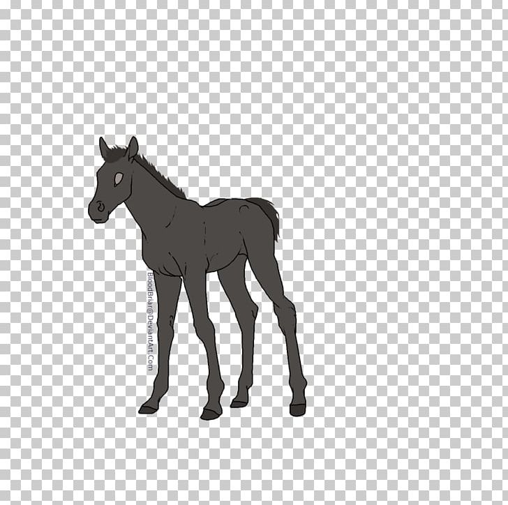 Mule Foal Stallion Colt Pony PNG, Clipart, Animal Figure, Art, Black And White, Bridle, Colt Free PNG Download