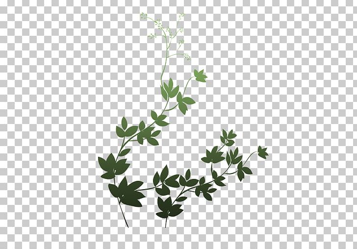 Portable Network Graphics Leaf Plant Stem Adobe Photoshop PNG, Clipart, Autumn, Autumn Leaf Color, Boston Ivy, Branch, Data Free PNG Download