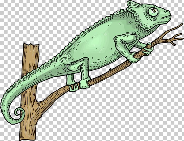 Lizard Chameleons Green Iguana Reptile PNG, Clipart, Amphibian, Animals, Chameleon, Chameleons, Common Iguanas Free PNG Download