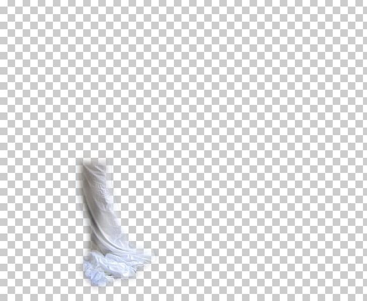 Shoe Neck Feather PNG, Clipart, Feather, Neck, Shoe, Swan Dance, White Free PNG Download