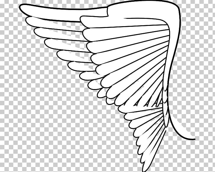 Wing PNG, Clipart, Angle, Area, Arm, Black, Black And White Free PNG ...