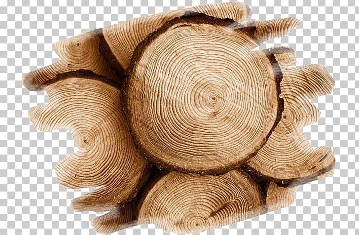 Wood Teak Tree Swarf Construction En Bois PNG, Clipart, Cabinetry, Construction En Bois, Creativity, Furniture, Idea Free PNG Download