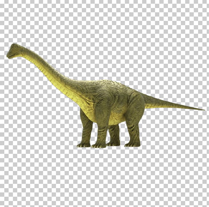 Brontosaurus Apatosaurus Brachiosaurus Camarasaurus Animated Film PNG, Clipart, 3d Computer Graphics, 3d Infographics, 3d Modeling, Animal Figure, Animated Film Free PNG Download