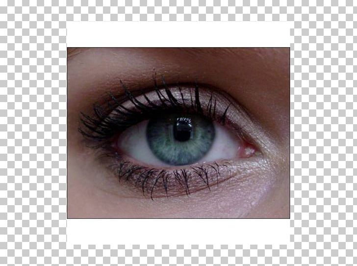 Eyelash Extensions Eye Shadow Eye Liner Mascara Lip Liner PNG, Clipart, Artificial Hair Integrations, Closeup, Closeup, Contact Lens, Contact Lenses Free PNG Download