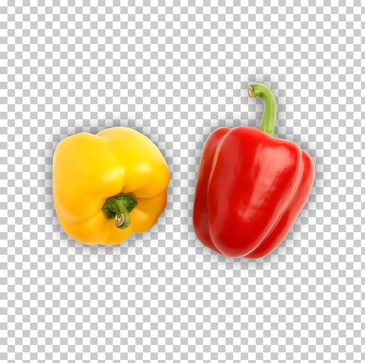 Bell Pepper Habanero Chili Pepper PNG, Clipart, Adobe Illustrator, Bell Peppers And Chili Peppers, Black Pepper, Cap, Chili Peppers Free PNG Download