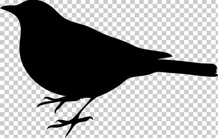 Bird Silhouette PNG, Clipart, American Crow, Animals, Art, Beak, Bird Free PNG Download