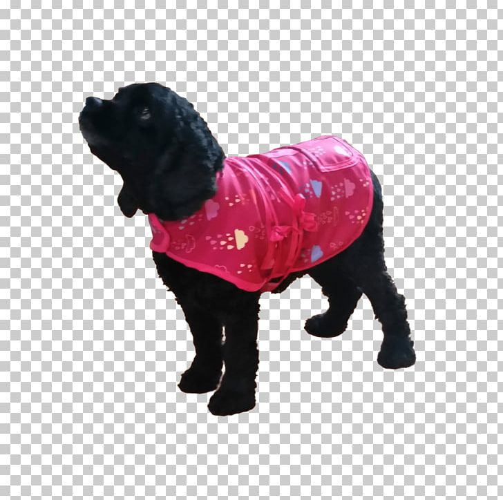 Dog Breed Puppy Coat Wool PNG, Clipart, Animals, Carnivoran, Clothing, Coat, Dog Free PNG Download