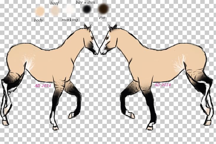 Mustang Foal Stallion Mare Colt PNG, Clipart, Animal, Bridle, Camel, Camel Like Mammal, Colt Free PNG Download