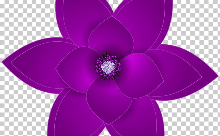 Petal Flower Violet PNG, Clipart, Download, Flower, Flowering Plant, Gardening, Herbaceous Plant Free PNG Download
