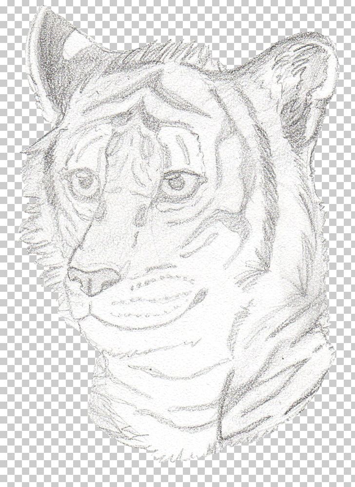 Tiger Whiskers Lion Visual Arts Sketch PNG, Clipart, Animals, Art, Artwork, Big Cats, Black And White Free PNG Download