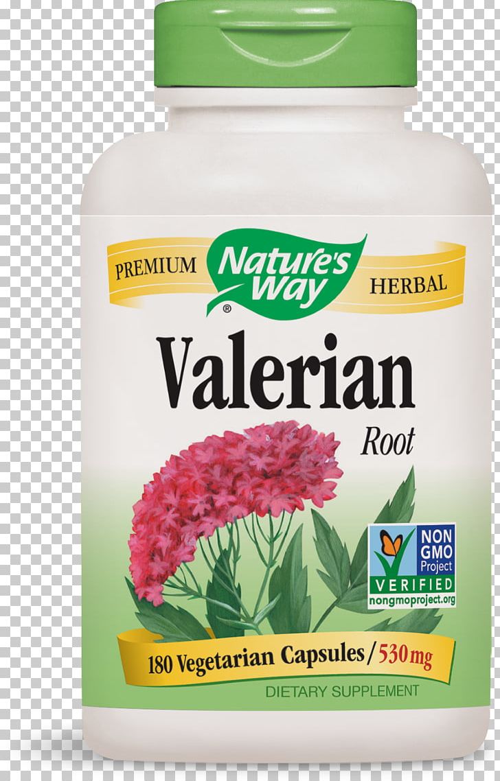 Valerian Dietary Supplement Capsule Extract Valerenic Acid PNG, Clipart, Anxiety, Anxiety Disorder, Capsule, Dietary Supplement, Extract Free PNG Download