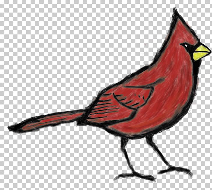 1998 St. Louis Cardinals Season Arizona Cardinals Memphis Redbirds 2009 Major League Baseball Season PNG, Clipart, 2009, Bird, Cardinal, Chicago Cubs, Fauna Free PNG Download