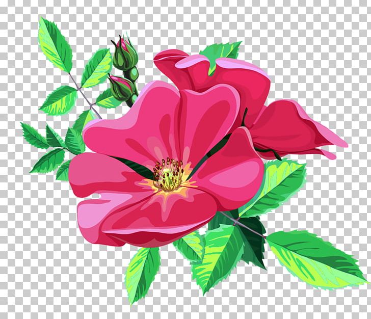 Flower Ornament Garden Roses PNG, Clipart, Annual Plant, Art, Bouquet, China Rose, Cut Flowers Free PNG Download
