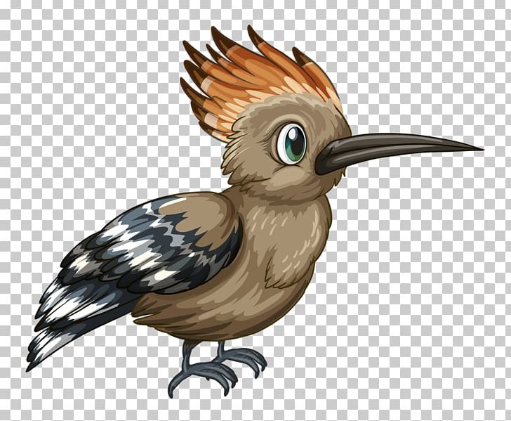 Bird PNG, Clipart, Animals, Beak, Bird, Bird Collections, Bird Vector Free PNG Download