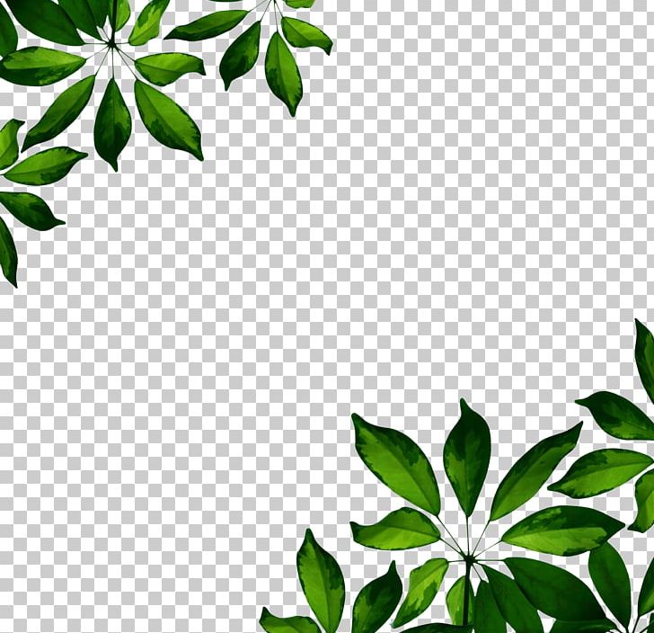 GFWC Woman's Club Of Inverness PNG, Clipart, Branch, Child, Flora, Flower, Flowering Plant Free PNG Download
