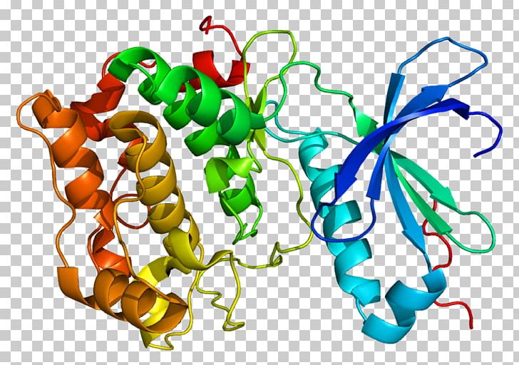 PRKCQ Protein Kinase C Gene PNG, Clipart, Animal Figure, Enzyme, Enzyme Inhibitor, Food, Gene Free PNG Download