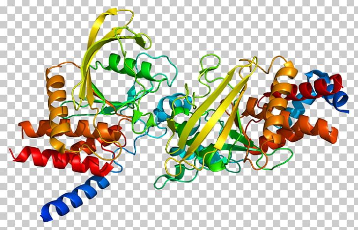 PTPRB Protein Tyrosine Phosphatase Gene VE-cadherin Angiopoietin PNG, Clipart, Ahs, Angiopoietin, Area, Crystal Structure, Enzyme Free PNG Download