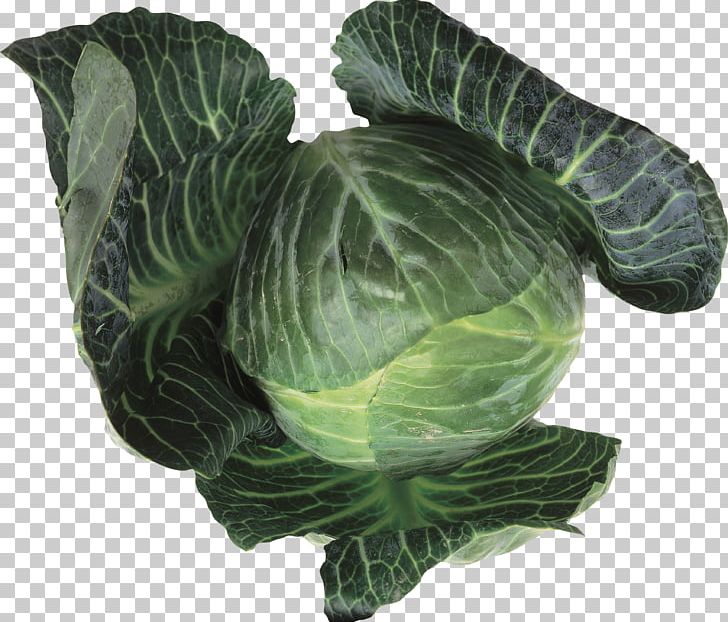 Collard Greens Leaf Vegetable Cabbage Food Brussels Sprout PNG, Clipart, Brassica Oleracea, Brussels Sprout, Cabbage, Cauliflower, Collard Greens Free PNG Download
