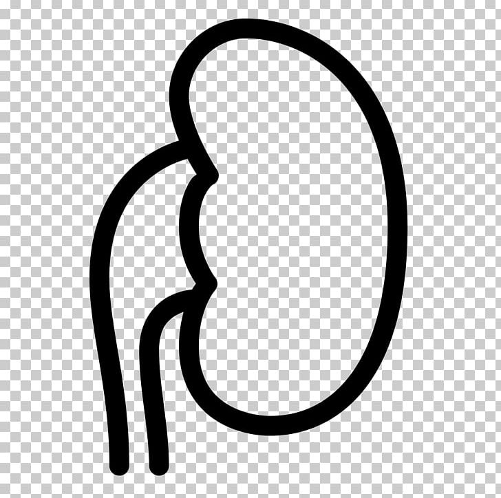 Kidney Computer Icons Excretory System Blood PNG, Clipart, Adrenal Gland, Black And White, Blood, Body Jewelry, Circle Free PNG Download