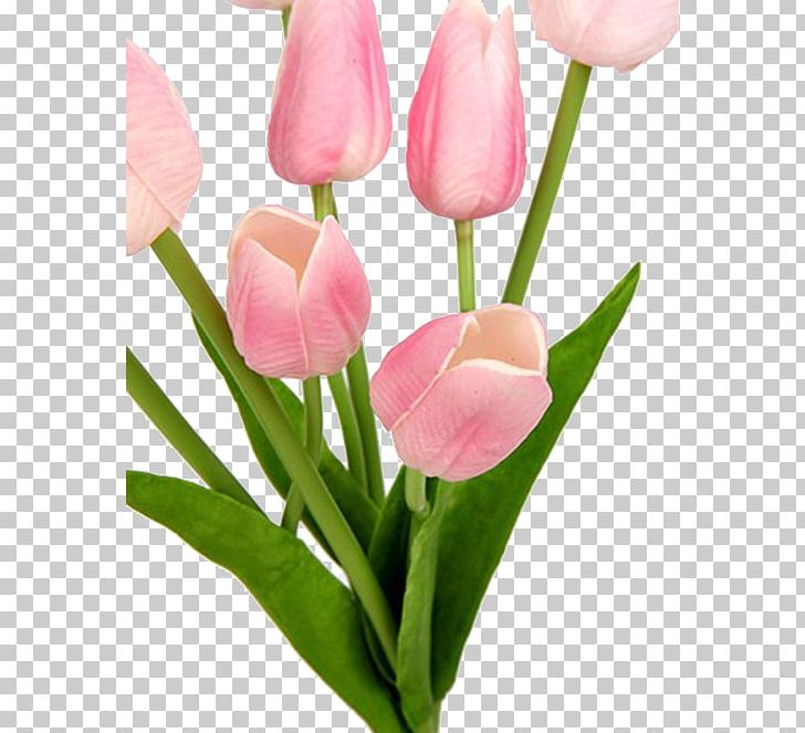 Tulip Pink Flower Bouquet Floristry Cut Flowers PNG, Clipart, Bouquet Vector, Cut Flowers, Floristry, Flower, Flower Bouquet Free PNG Download