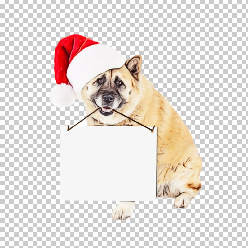 Bulldog PNG, Clipart, Bulldog, Christmas, Companion Dog, Dog, Dog Clothes Free PNG Download