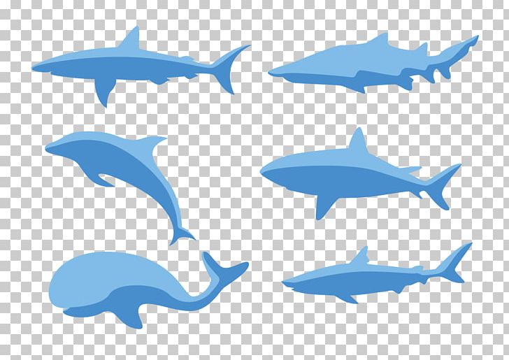 Common Bottlenose Dolphin PNG, Clipart, Animals, Aquarium Fish, Cartilaginous Fish, Computer Icons, Dolphin Free PNG Download