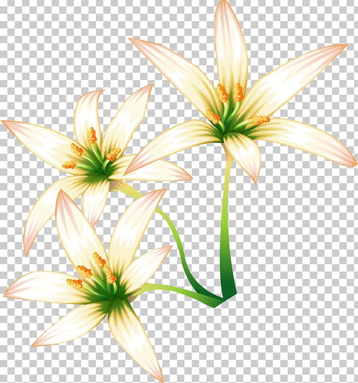 Lilium Flower PNG, Clipart, Computer Software, Download, Flora, Flowering Plant, Flowers Free PNG Download