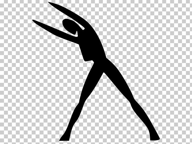 Physical Fitness Stretching Exercise PNG, Clipart, Arm, Artwork, Beak, Black, Black And White Free PNG Download
