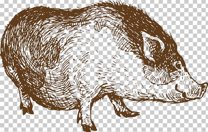 Sheep Wild Boar Lamb And Mutton Drawing PNG, Clipart, Animals, Art, Encapsulated Postscript, Fauna, Graphic Arts Free PNG Download
