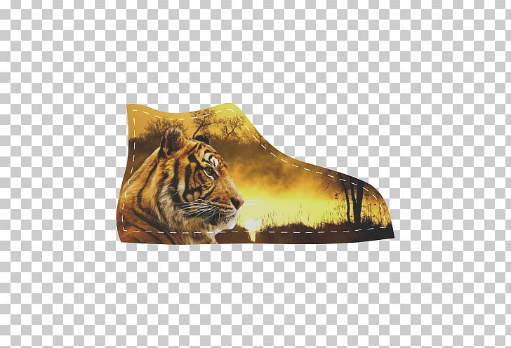 Cat Lion Colchester Zoo Sumatran Tiger Wildlife PNG, Clipart, Animal, Animals, Art, Bengal Tiger, Big Cat Free PNG Download