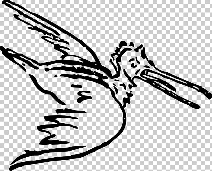 Hummingbird Pelican Drawing Birds PNG, Clipart, Animals, Animation, Art, Artwork, Bird Free PNG Download