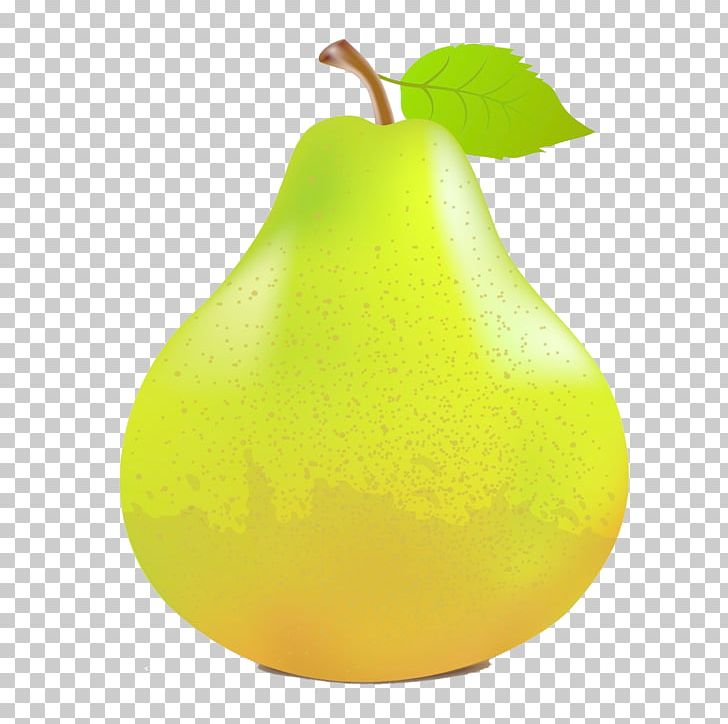 Pear Fruit PNG, Clipart, Apple, Apple Pears, Auglis, Citric Acid, Drawing Free PNG Download